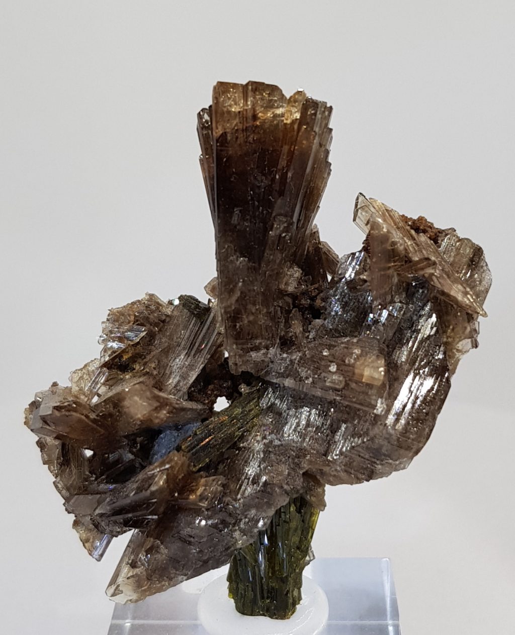 T5-192–AXI-EPID 1